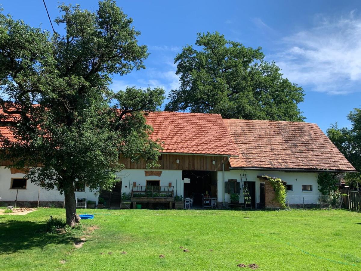Kellerstoeckl Am Veganen Bio-Lebenshof "Varm - Die Vegane Farm" Sulb Екстер'єр фото