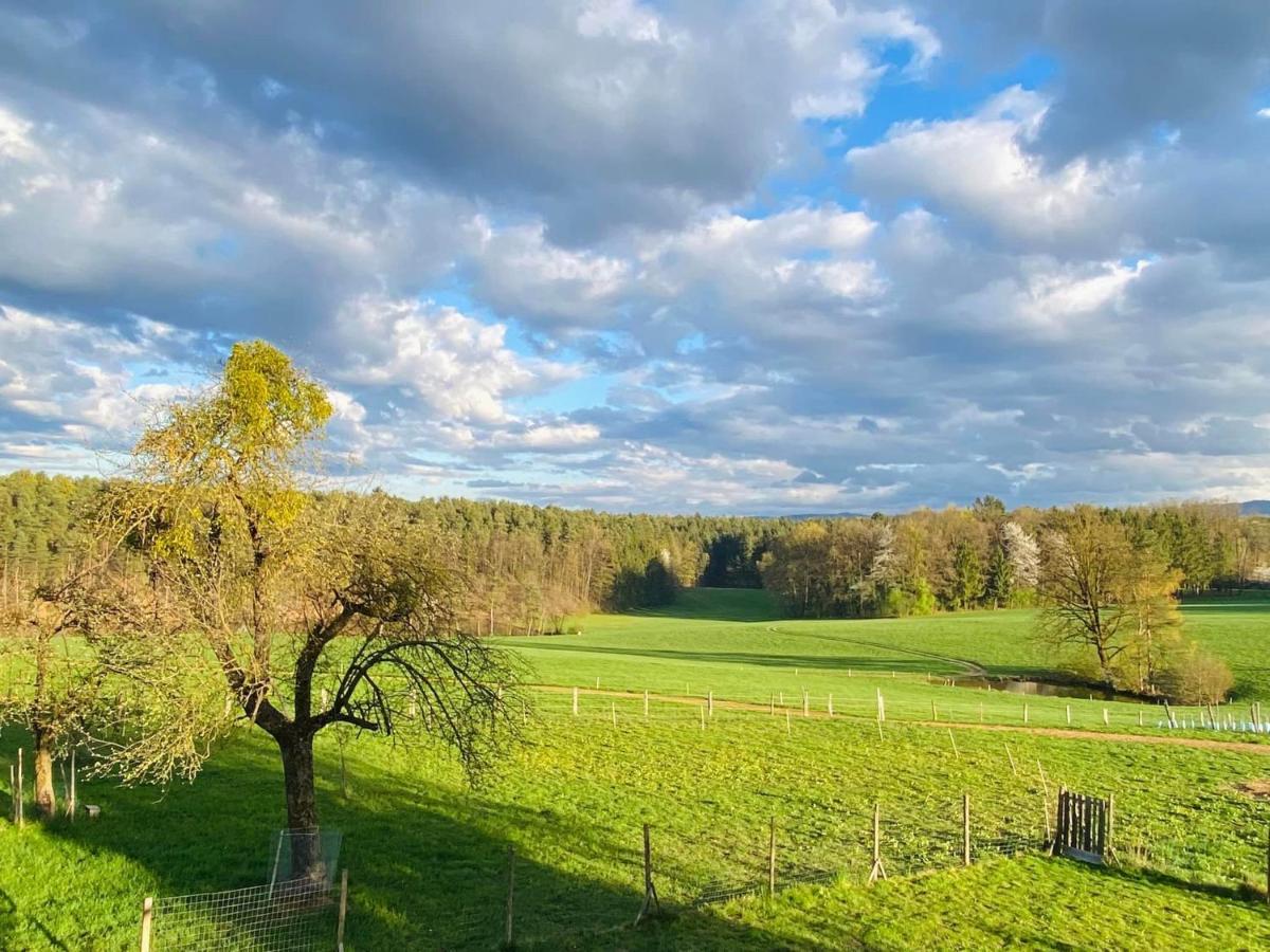 Kellerstoeckl Am Veganen Bio-Lebenshof "Varm - Die Vegane Farm" Sulb Екстер'єр фото